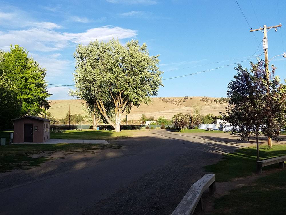 Road going thru the sites and trees