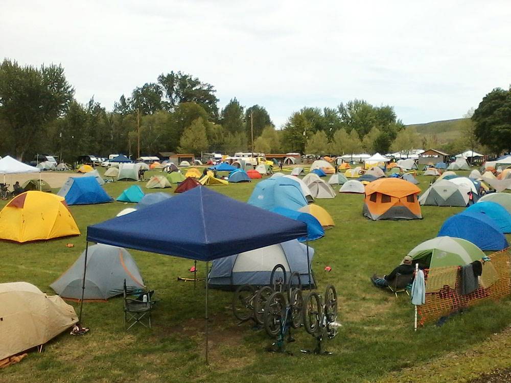 Tents set-up on grounds