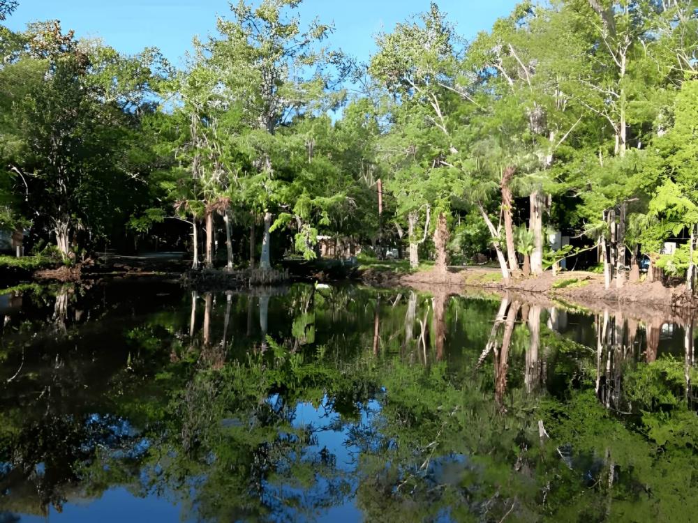 Lake at site River Oaks RV Campground & Retreat