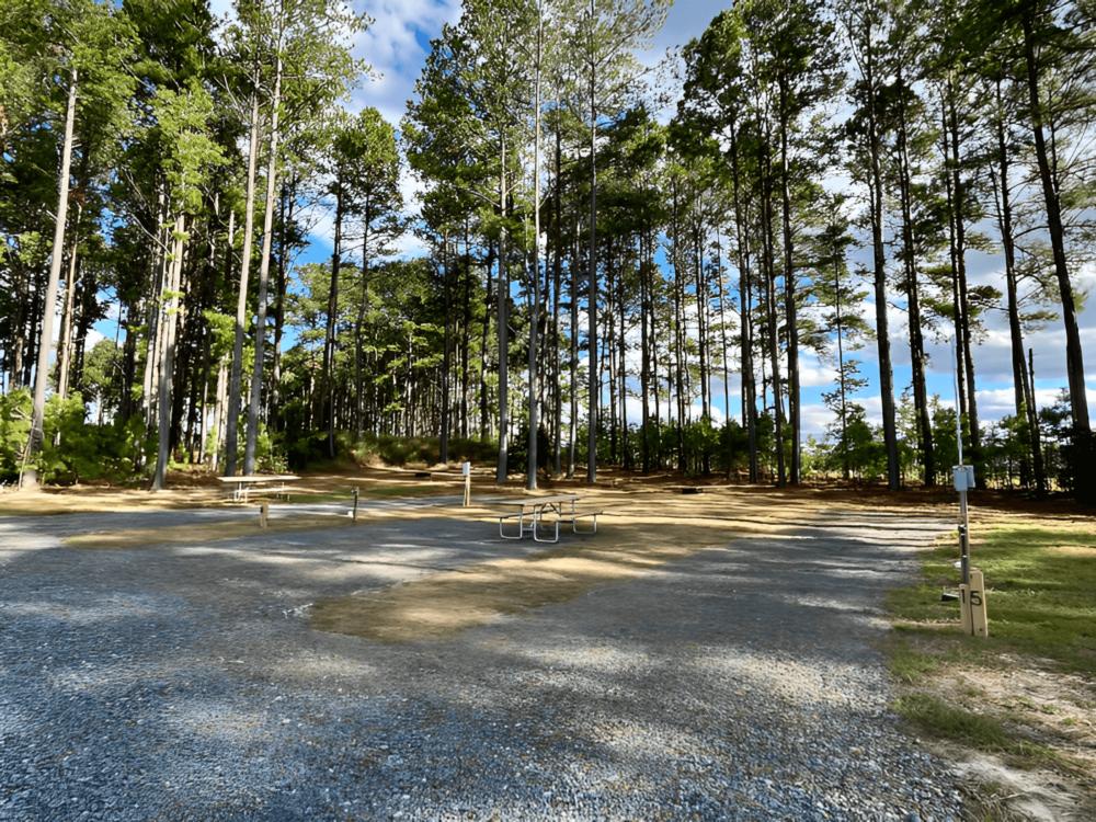 Open RV spaces at site In The Pines RV & Cabin Village
