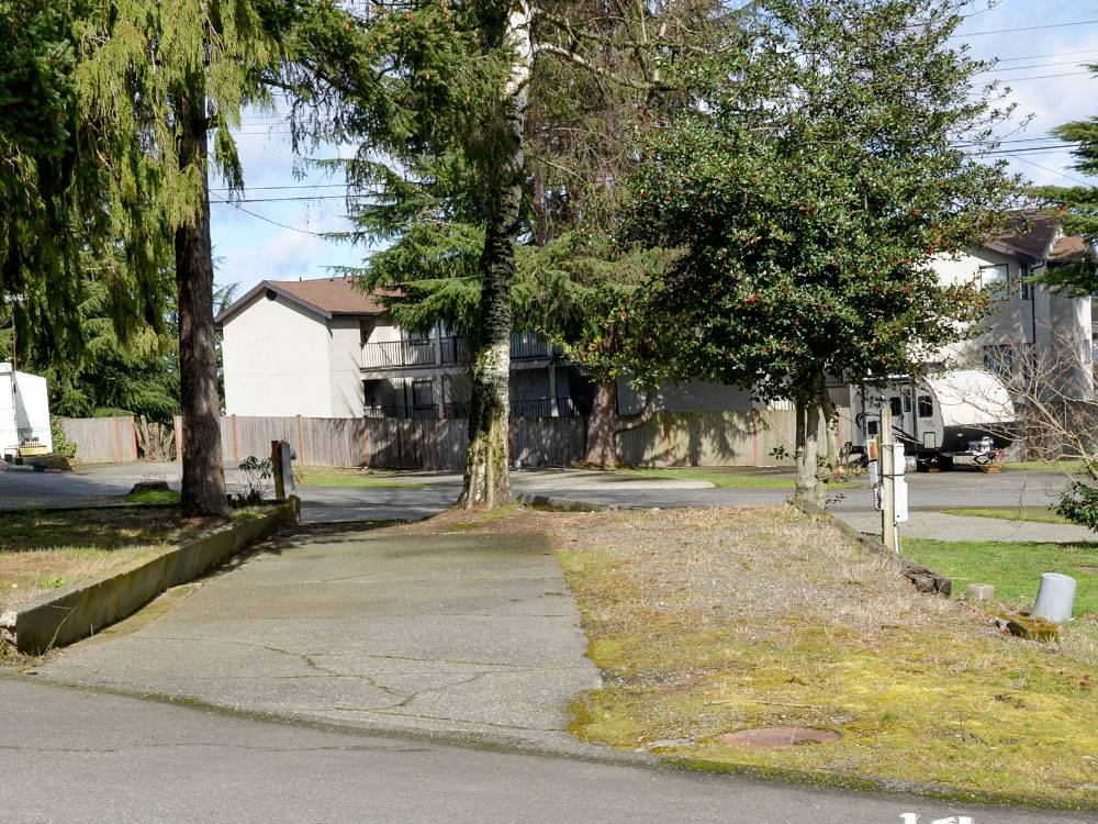 Paved RV site under tall trees