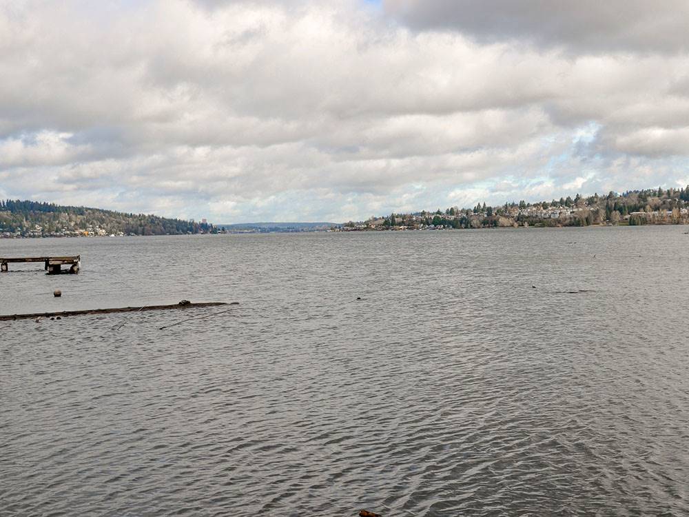 Cloudy day on the water