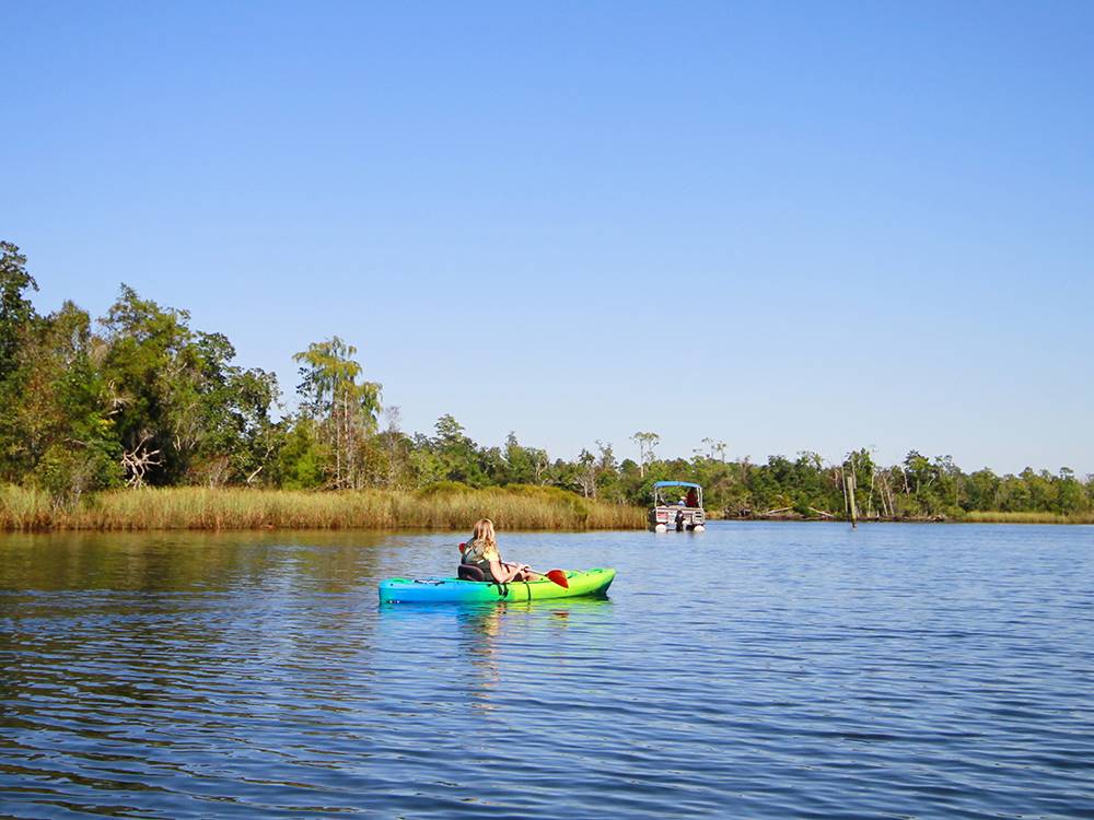 Kayaking at the marina
