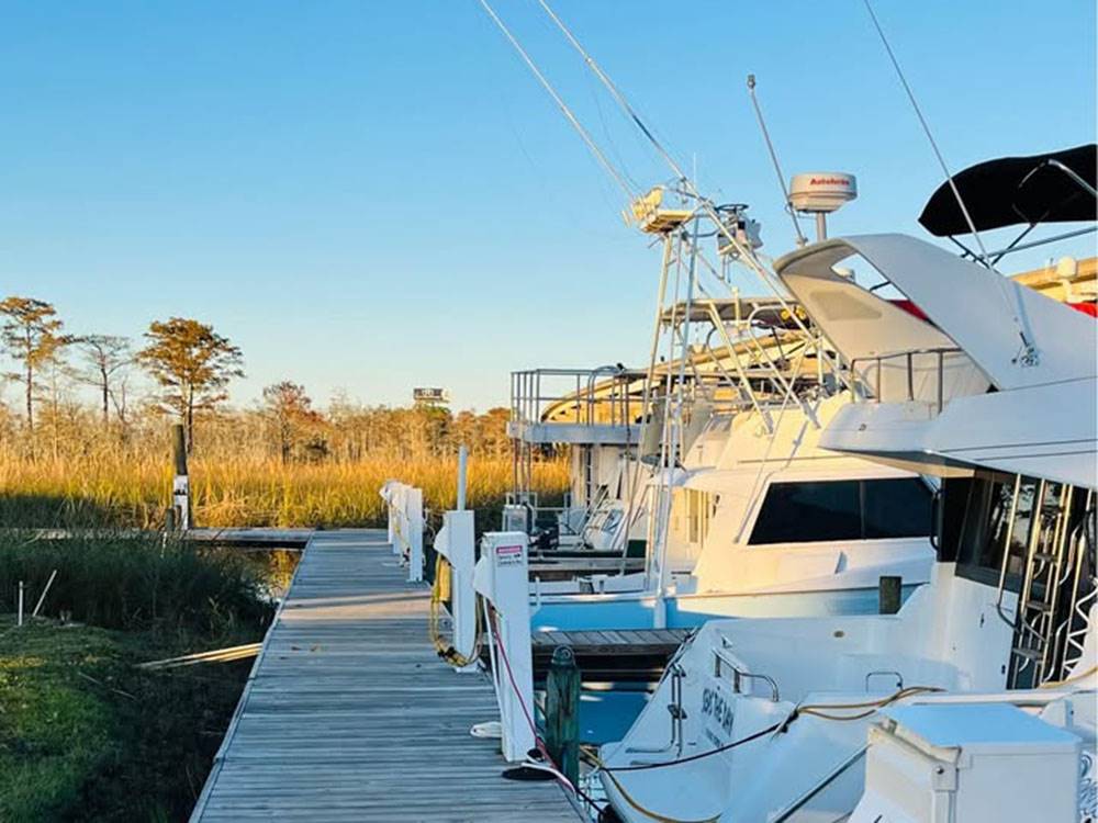 View of the dock