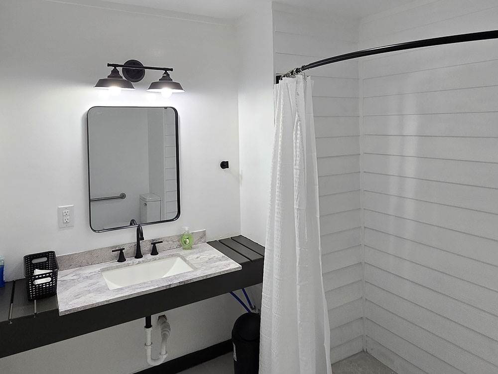The sink and shower