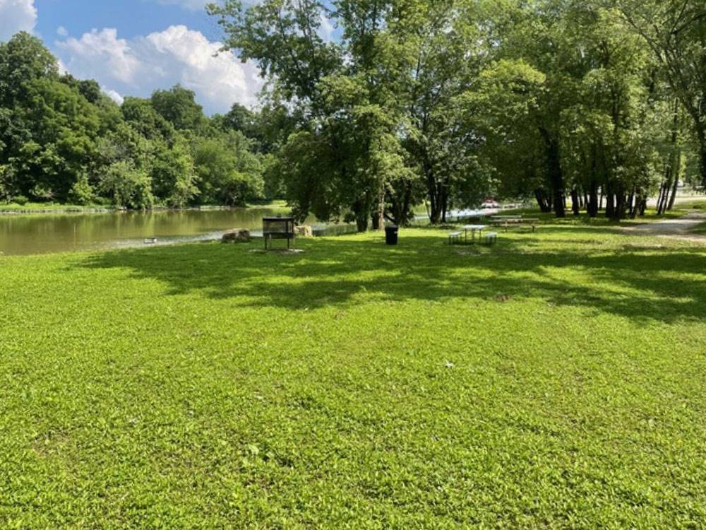 Tree lined grass field