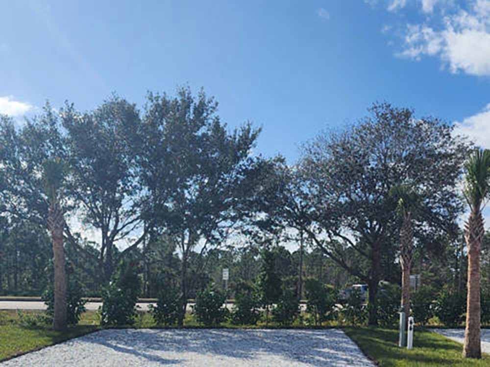 A shaded RV site