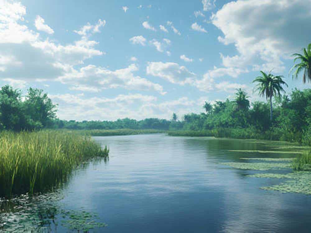 A nearby fishing spot