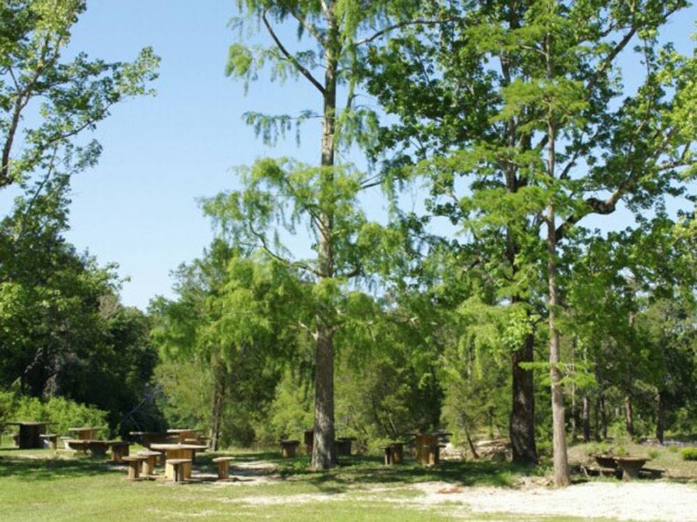 Picnic Area