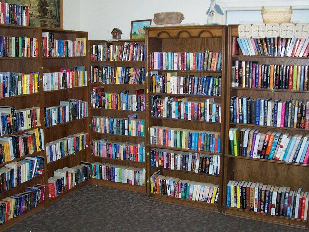 Books in the library