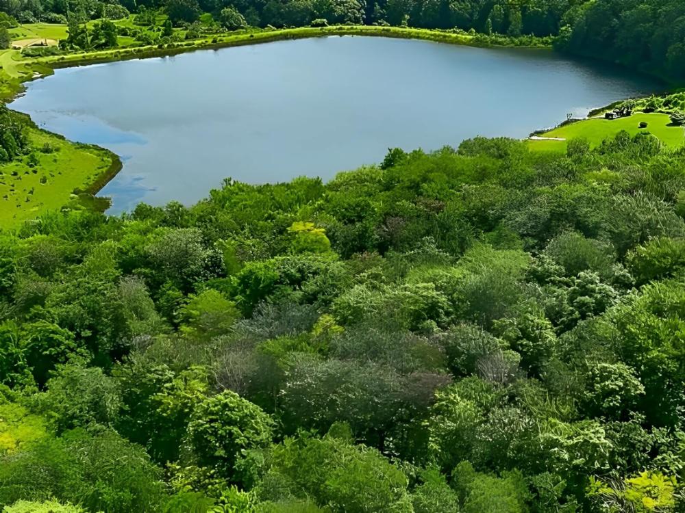 Overhead view at site Bear Creek Lake Resort