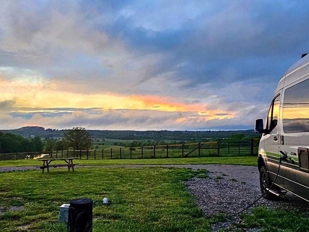Grassy area with trees