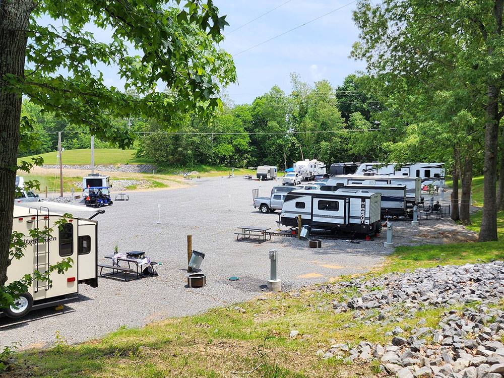 RVs parked in treed sites