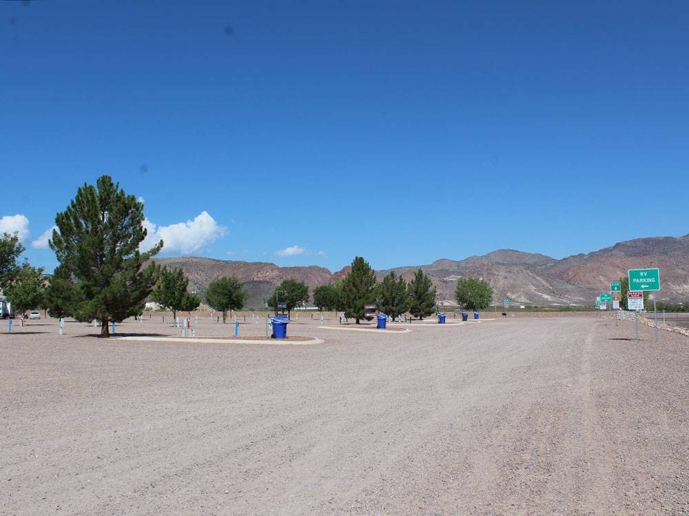 A wide shot of the park