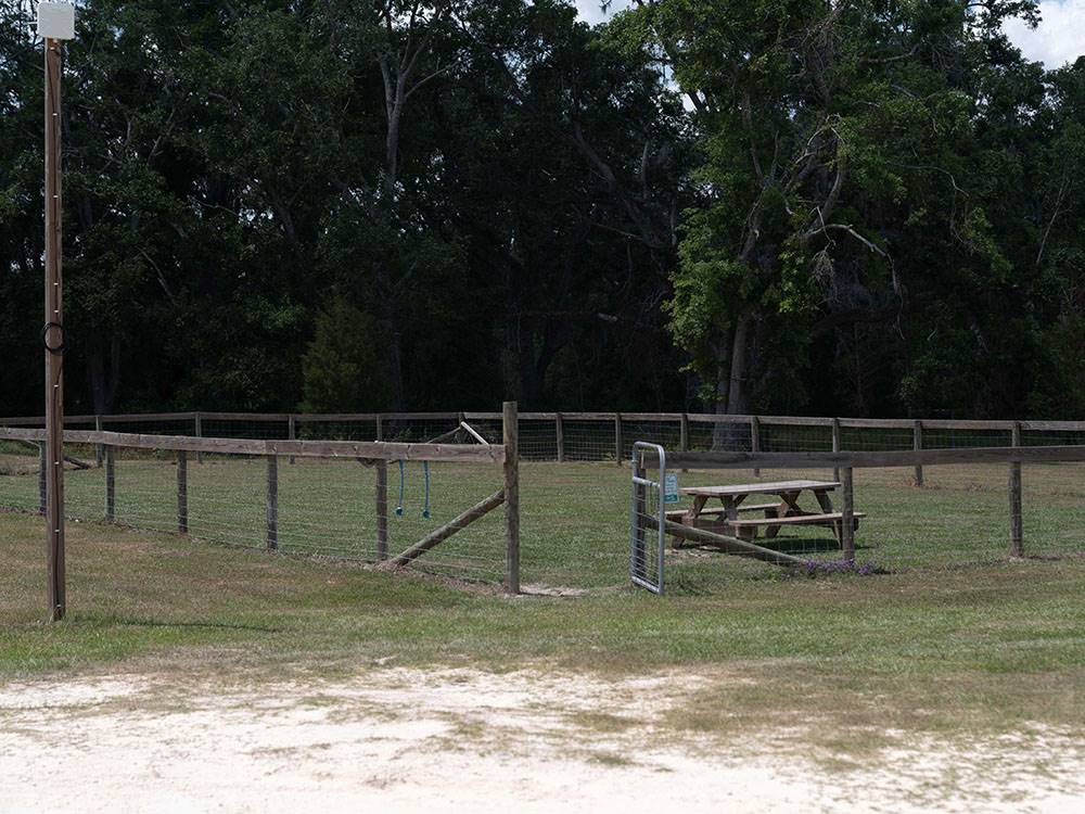 The fenced in dog park