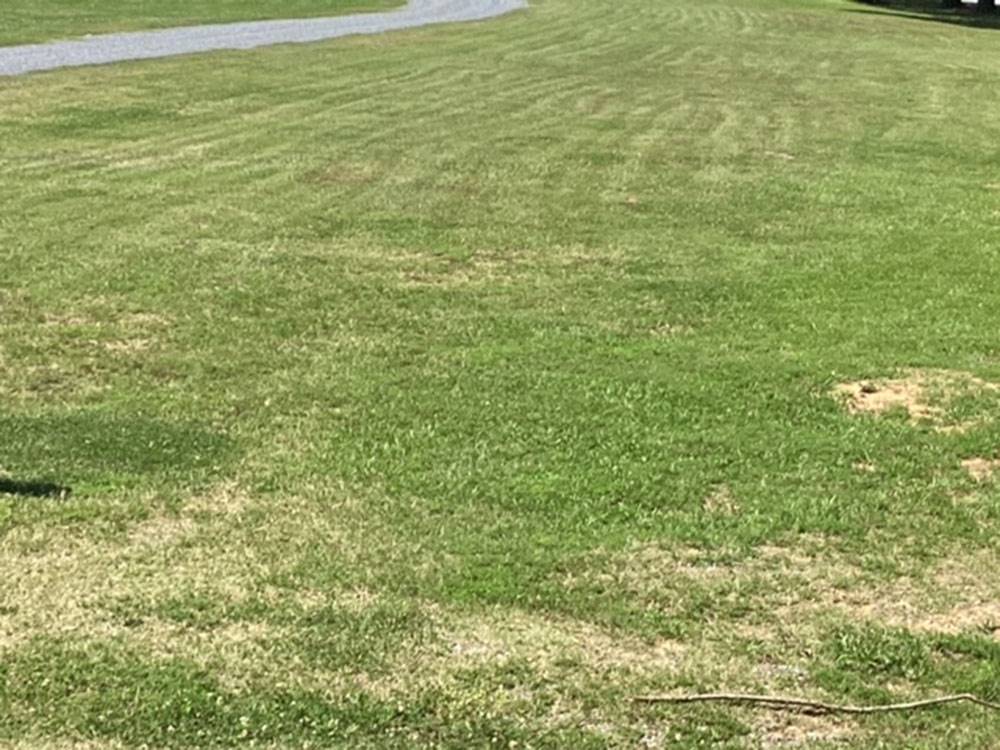 Plenty of green spaces