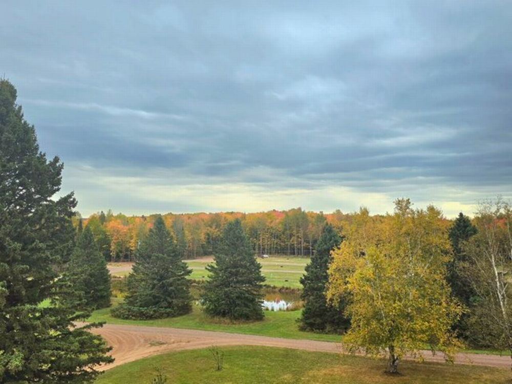 Fall trees and open fields at Stargazers UP Campground
