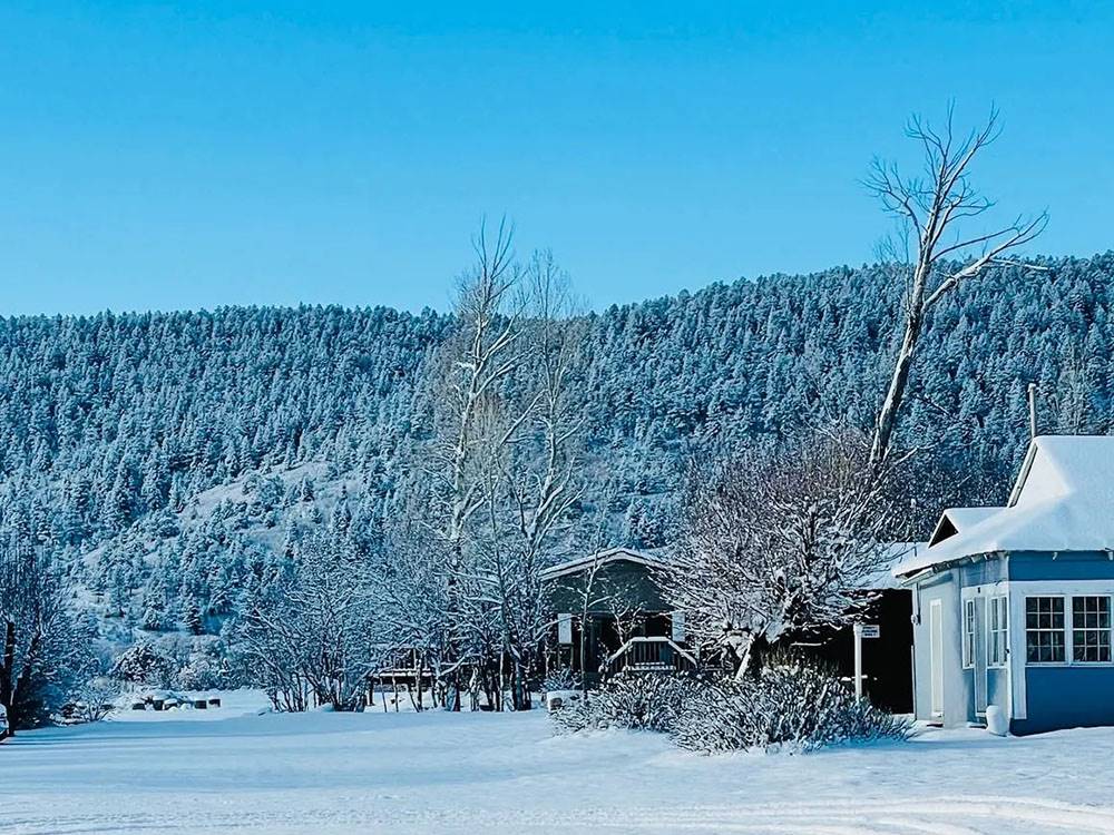 The park covered in snow