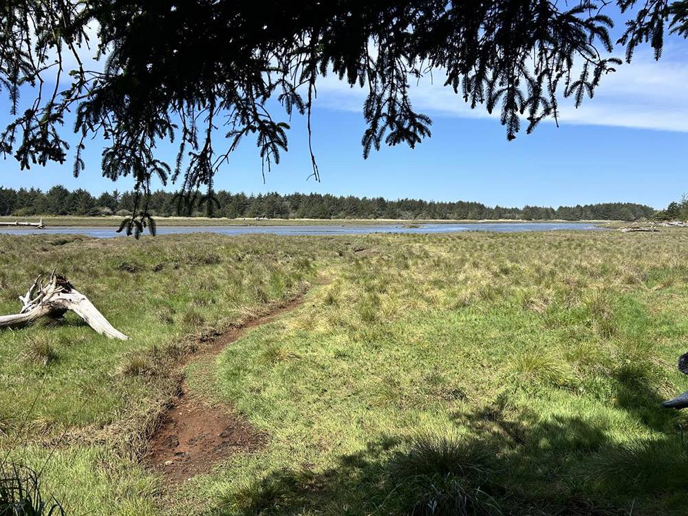 A view of the river