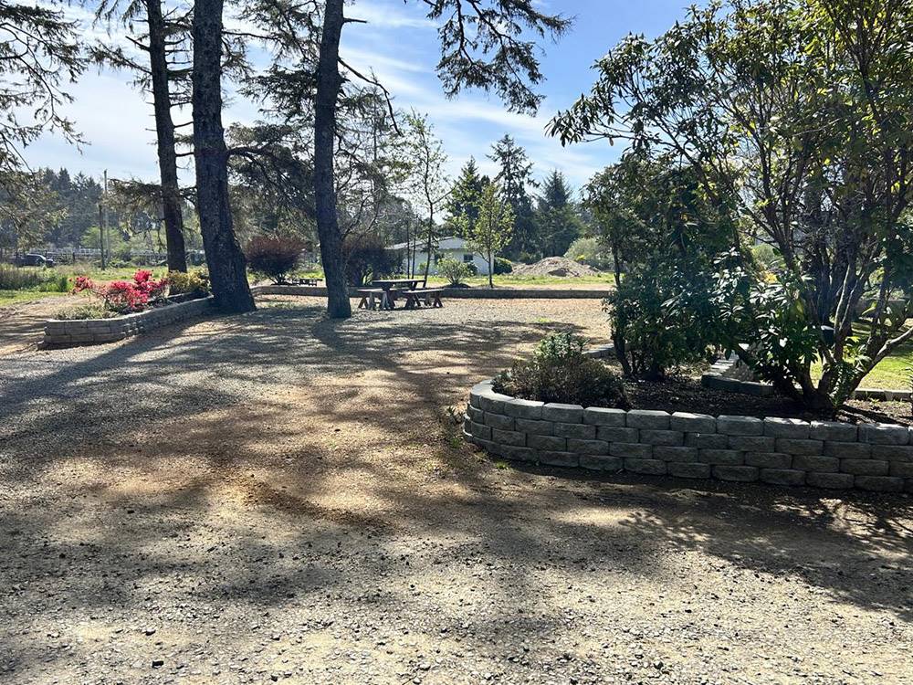A shady RV site
