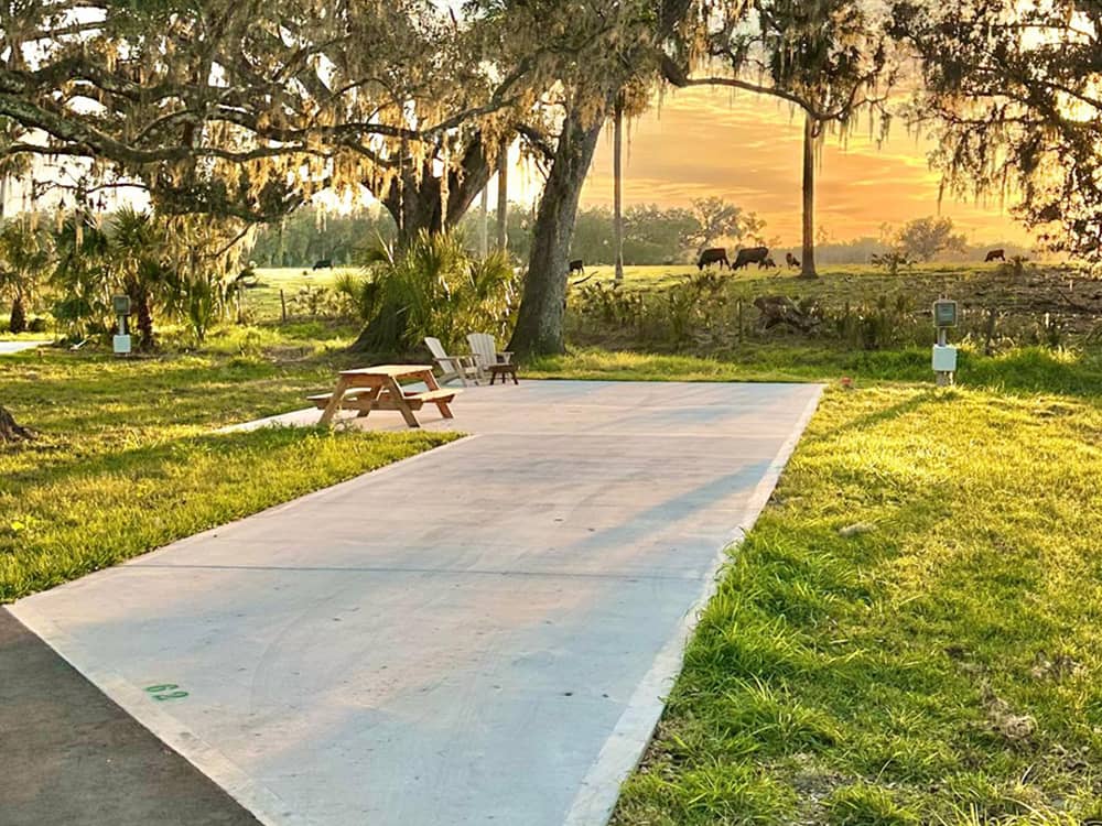 A paved RV site under a shade tree
