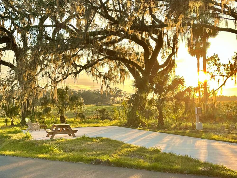 A picnic table at site under shade trees