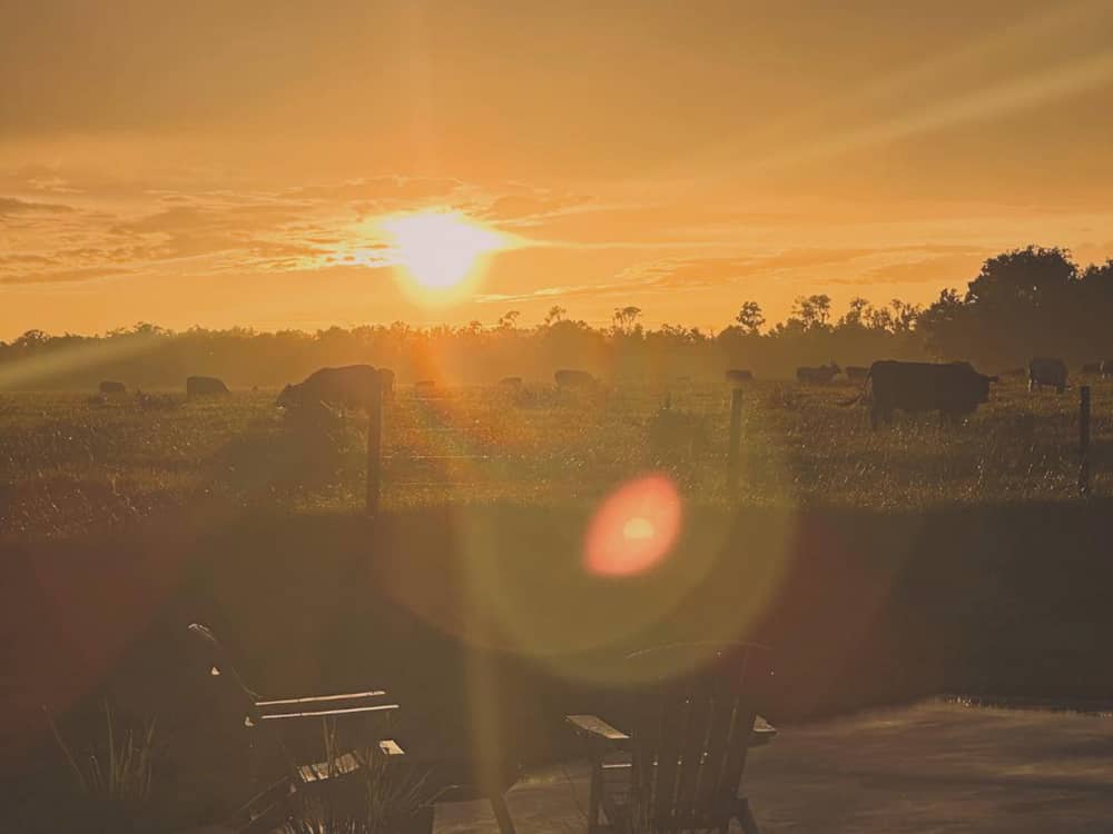 The sun setting behind the hills