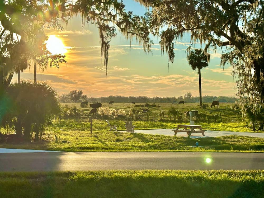 RV site with view of the sky at dusk