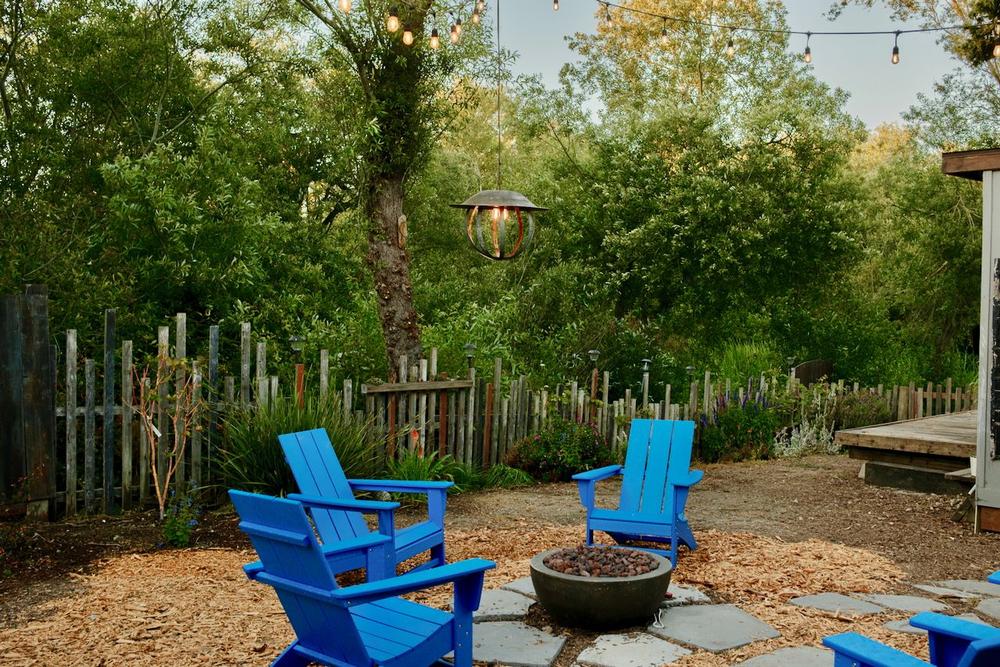 Tree's at site Beach RV Pleasure Point