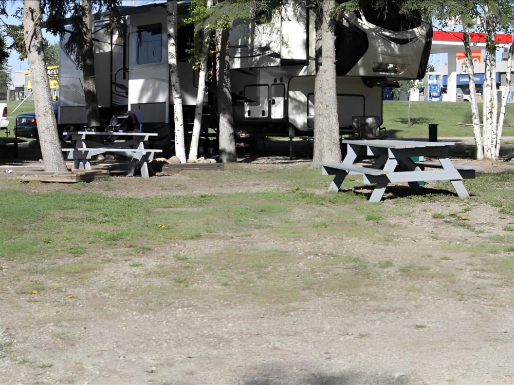 Grassy area by the RV sites at Edson Lions Park Campground