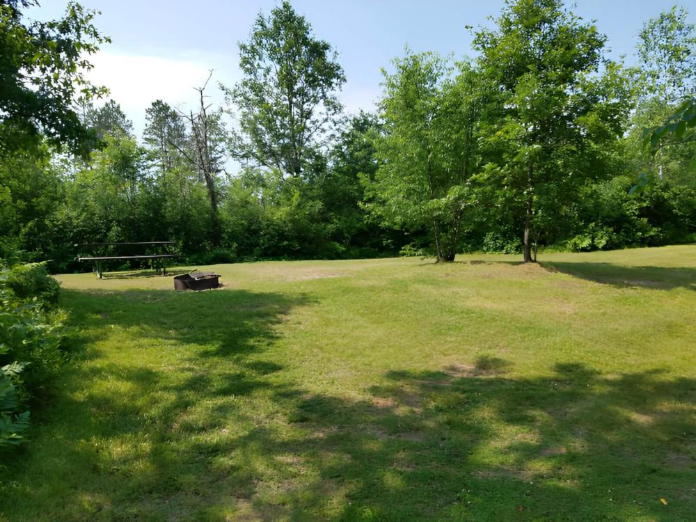 Open grass area at Tamarack Springs Campground