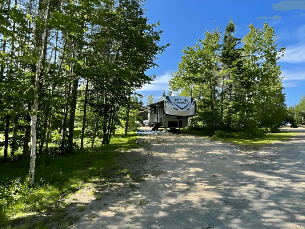 RV park in a shaded site