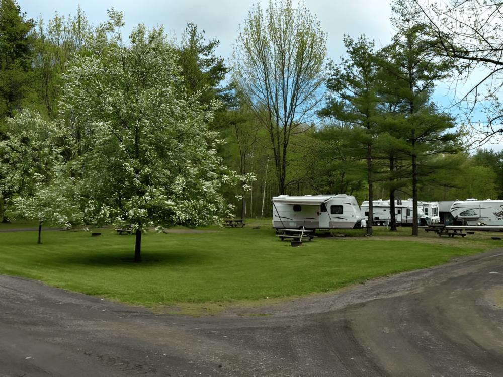 RV parked in a site