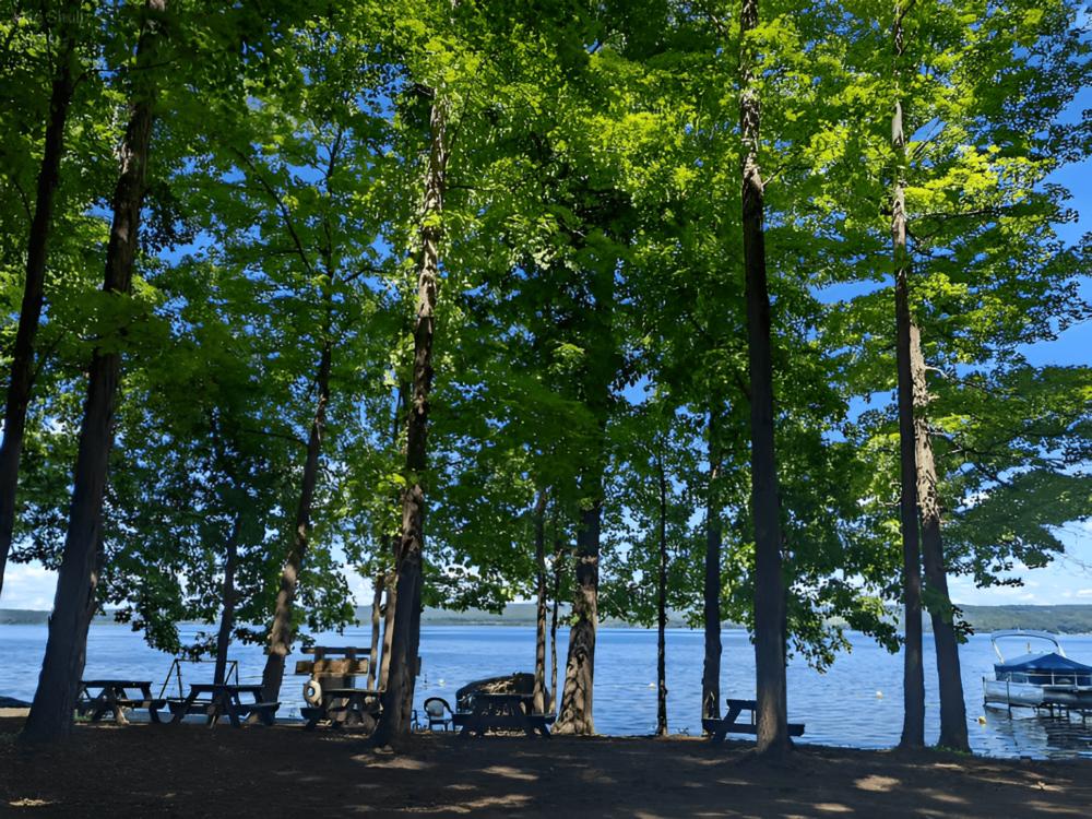 Tables and chairs under trees by the lake