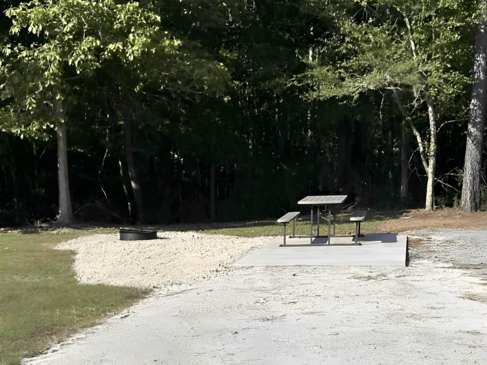RV site with table and firepit