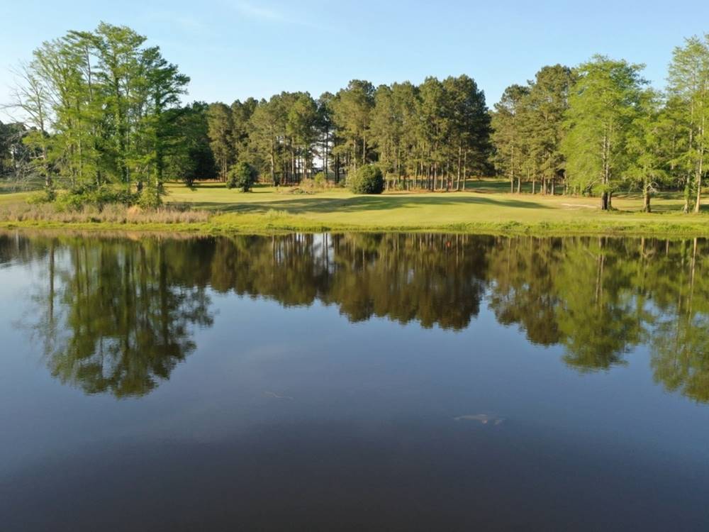 Trees reflecting on the pond