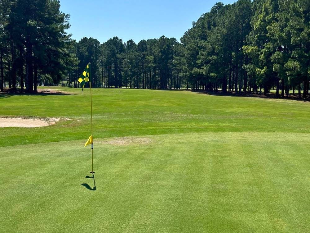 A flag hole marker on the golf course