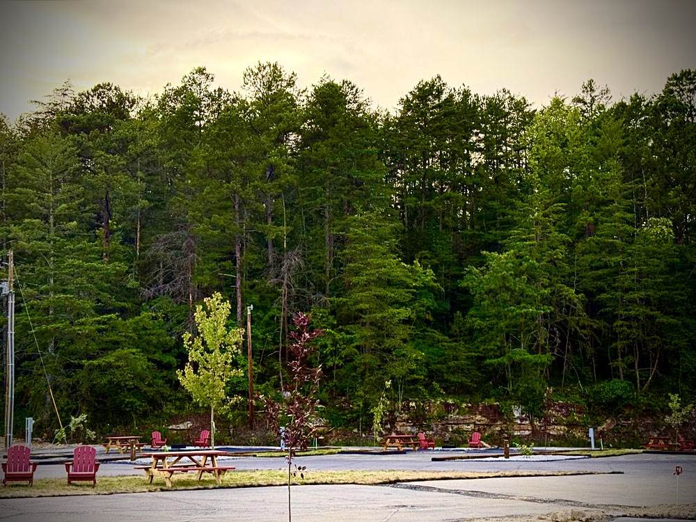 RV sites near a forest setting