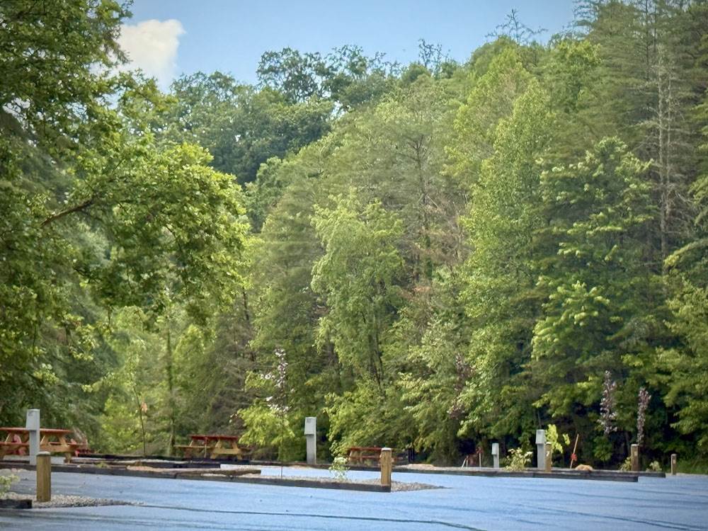 RV sites near trees