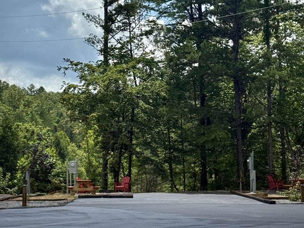 RV site, trees and blue sky