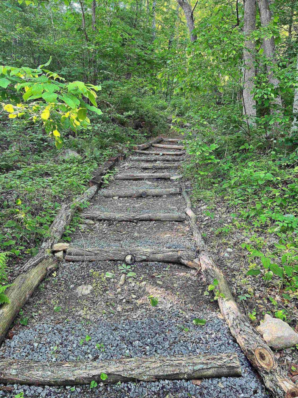 A walking trail through the woods at Wilderness Cove Campground