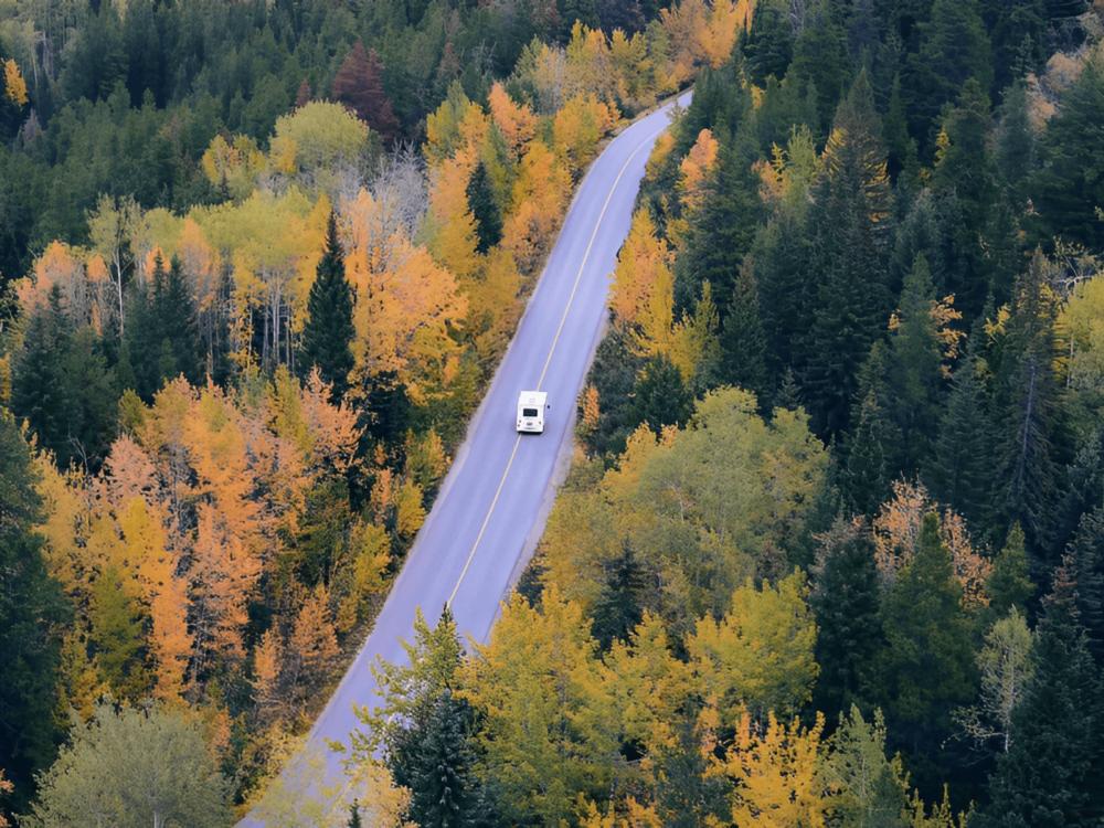 RV driving in the middle of fall trees at Lakeside Timbers RV Campground
