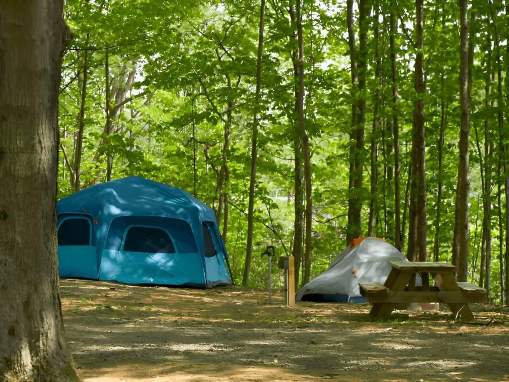 Tent at site Greek Peak Campground at Hope Lake