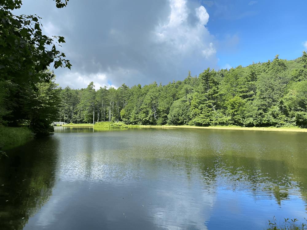 Lake and trees at Montebello Camping & Fishing Resort