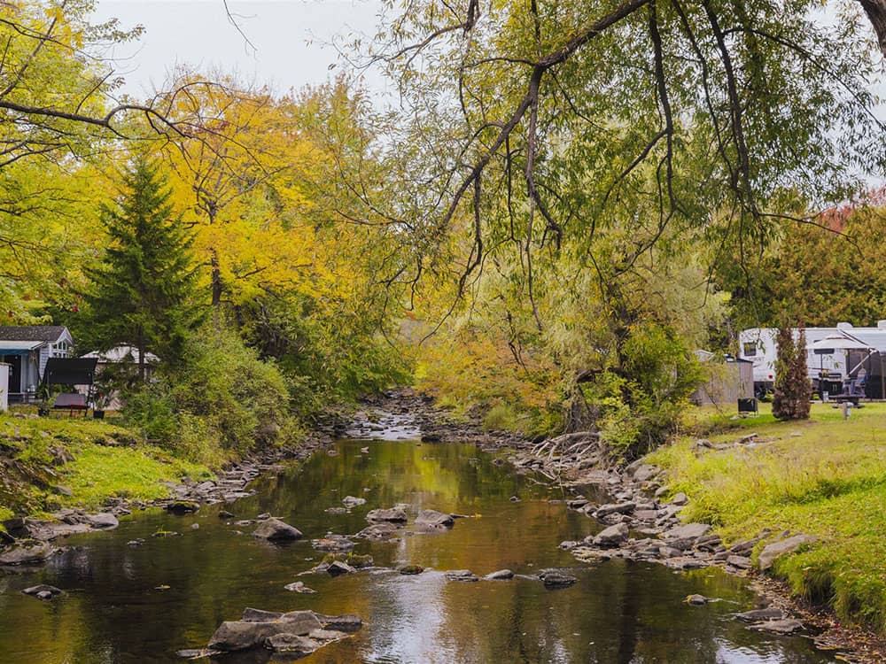 A stream running through the park