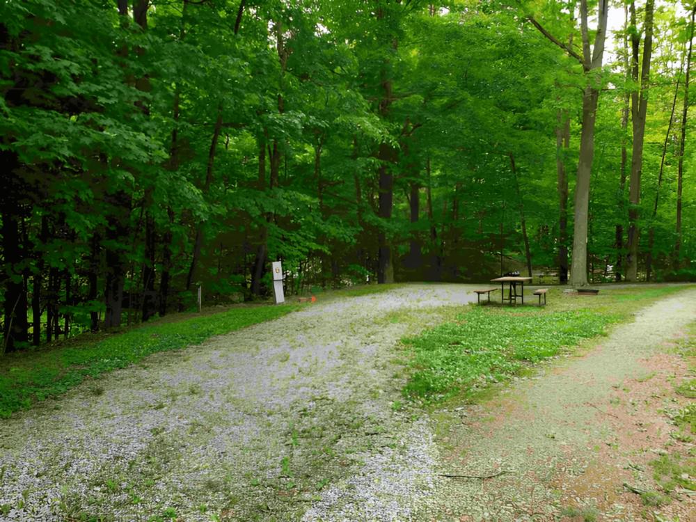 Open RV space at site Stetson's Tumble Hill Campground