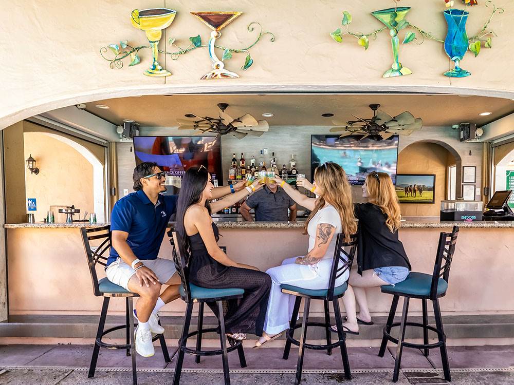 A group cheering at the bar