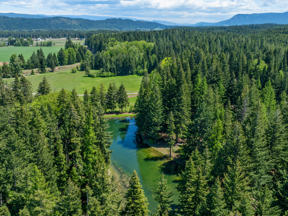 Aerial view of lake and trees at Lake Sena Campground at Circle 8 Ranch