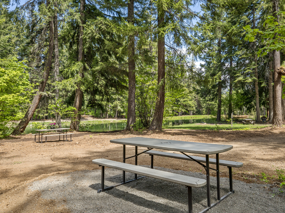 Picnic tables at site at Lake Sena Campground at Circle 8 Ranch