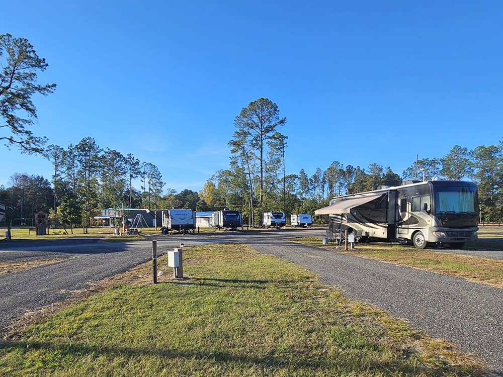 Grassy area between sites